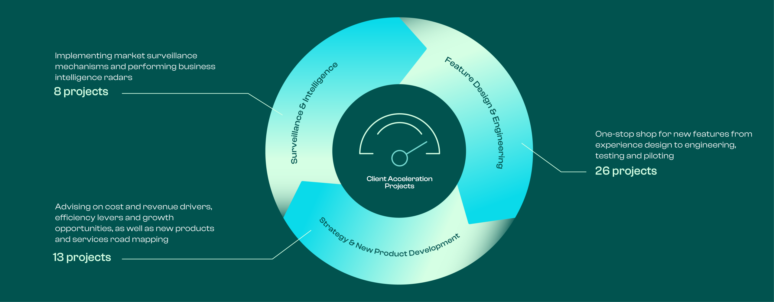 An infographic with a circular diagram showing various business project categories and their counts